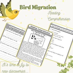 以下が含まれることがあります： 鳥の渡りに関する読解ワークシートで、質問とテキストが含まれています。画像には黄色の鳥のイラストと「新しい発見へ飛び立つ時が来た…」というテキストが含まれています。