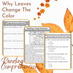 May include: Educational reading comprehension worksheets about why leaves change colour in autumn. The worksheets include questions about chlorophyll, photosynthesis, and the colours of leaves. The image features fall leaves and text.