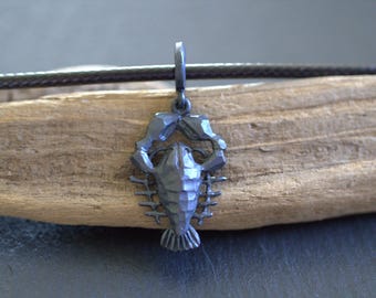 Collar rústico de plata martillada para hombre con colgante del zodíaco, joyería astrológica hecha a mano, con diseño del signo Cáncer.