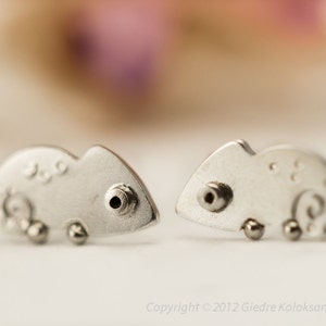 May include: A pair of silver chameleon earrings. The earrings are small and detailed, with a textured surface and a small hole for the earring post.