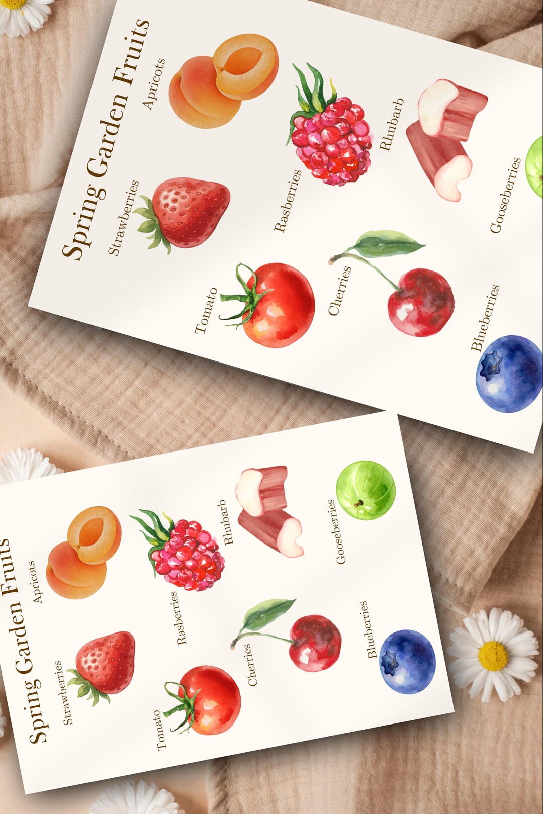 Educational Spring Fruit Chart, Kids Spring Garden Learning, Preschool ...