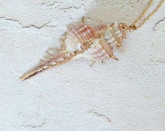 Spiney Murex Seashell & Gold Filled Chain Necklace Handmade