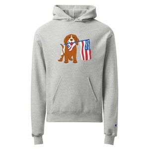 Felpa con cappuccio unisex American Flag Champion – Felpa patriottica USA