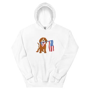 Unisex American Flag Hoodie – USA Patriotic Hooded Sweatshirt