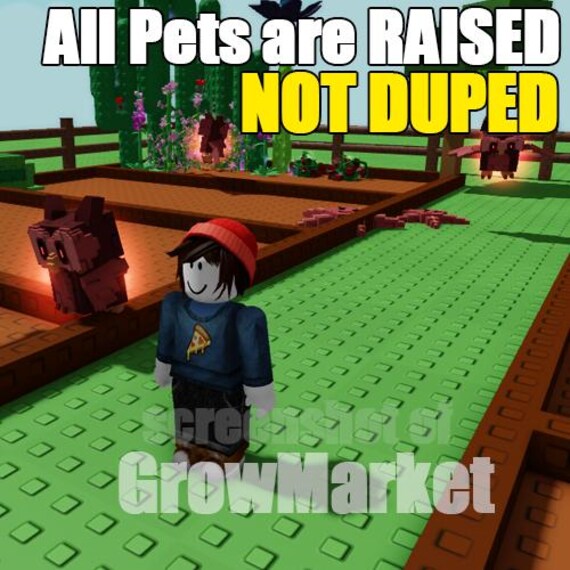 Grow A Garden Roblox Pet – Age 75+ Random Slot Pet (+5 Slot) – One Random Pet, Personalized