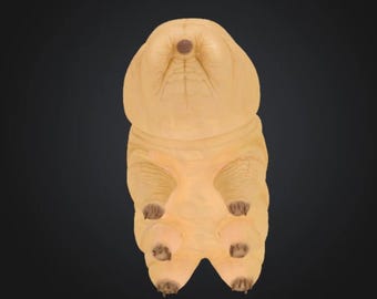 Tardigrade Wonder 3D Model Toy for Printing OBJ STL Cute Kawaii Animals Microscopic Organism Virus Bacteria Science Biology Yellow Orange