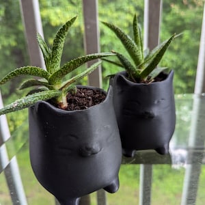 3D Printed Cat Planter – 3.5&quot; Wide Succulent Pot, Cute Kitty Desk Decor, Small Indoor Plant Pot for Cat Lovers