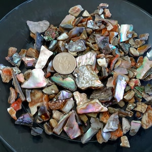 Natural Califorinia Abalone Pieces 6 oz