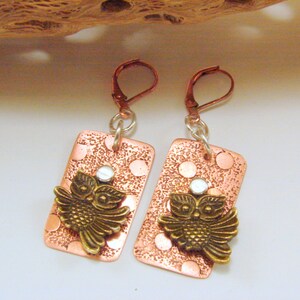 Moonlit Owl Mixed Metals Earrings main image 0