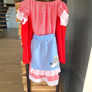 Little Red Riding Hood Blue Dress - Etsy Singapore
