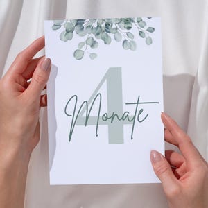Cartes mensuelles Bébé Eucalyptus