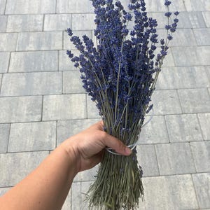 Brotes De Lavanda Griega Seca Orgánica Certificada - Flores 85 G (3 Oz) - 1,95 Kg (68,8 Oz) Aroma Intenso Calidad Premium Cosecha Julio De 2025 - México