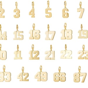 May include: A collection of gold-colored number charms, each with a small hoop for attachment. Numbers 1 through 99 are displayed, with various styles and sizes. Ideal for jewelry making or personalization.