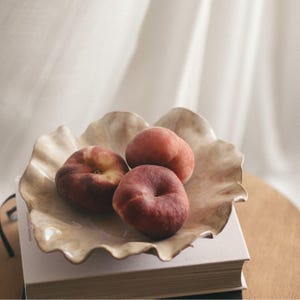 Handmade Stoneware Ceramic Bowl: Wabi Sabi Earth Tones, 22cm