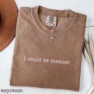 Comfort Colors® I Could Be Meaner Shirt, Sarcasm Shirt, Sarcastic Shirt, Funny Humor Shirt, Funny Quote Shirt,Spicy Attitude Shirt,Plus Size