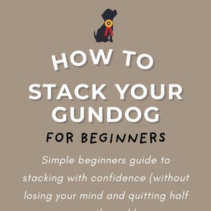 May include: A tan graphic with the text "HOW TO STACK YOUR GUNDOG FOR BEGINNERS". Includes a silhouette of a dog wearing a rosette and a line drawing of a dog in a show stance.