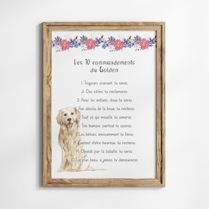 Peut inclure: Un cadre en bois avec une illustration à l'aquarelle d'un Golden Retriever. Le cadre contient du texte en français et une bordure florale. Le texte énumère les dix commandements du Golden.