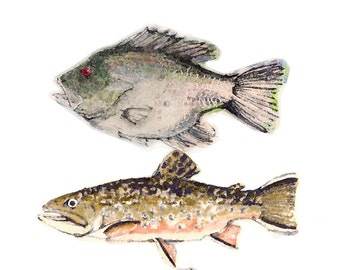 Fish Art - Brooke Trout, Rock Bass, and Whimsical Funky Fish Creation Fine Art Limitrd Edition Print