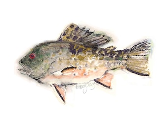 Fish Computer Painting Art - A Whimsical "Rock Head Trout" Fish Created fron Original Art of a Rock Bass and Brooke Trout