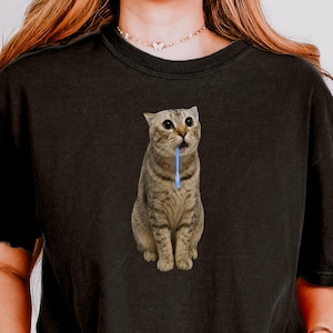 Pode incluir: Uma t-shirt preta de manga curta com um gráfico central de um gato malhado castanho com olhos arregalados e uma escova de dentes azul pendurada na boca. A peça tem gola redonda e um corte descontraído com uma estampa animal detalhada.