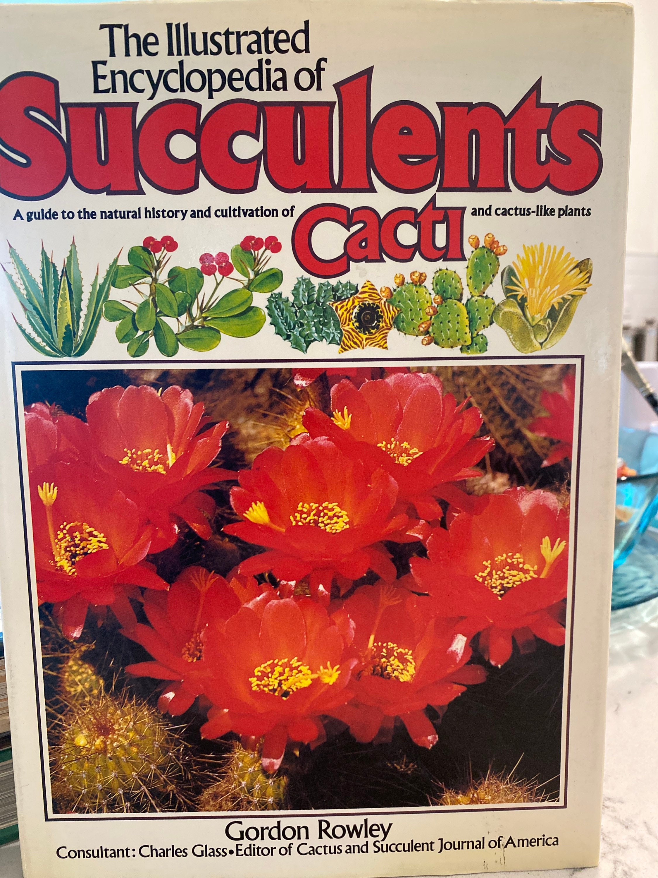 Illustrated Encyclopedia of Succulents and Cacti by Rowley 1976 - Etsy