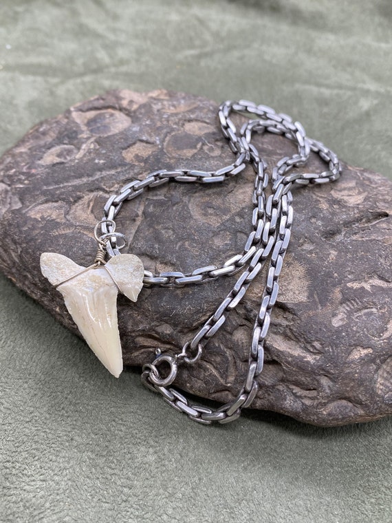 Alex and ani shark shop tooth necklace