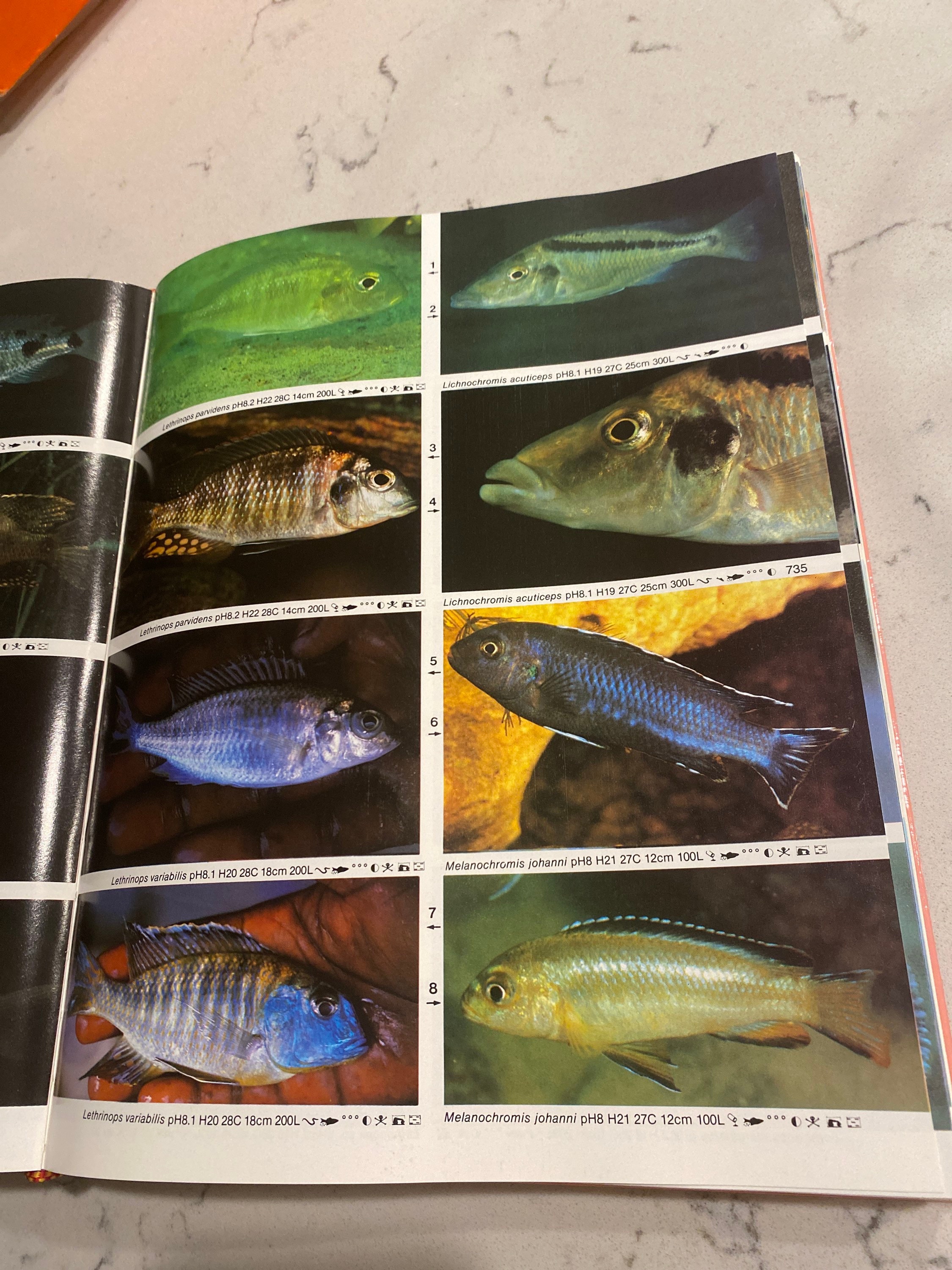 洋書　Dr. Axelrod's Atlas of 淡水観賞魚　大型本 洋書 Dr. Axelrod's Atlas of 淡水観賞魚 大型本