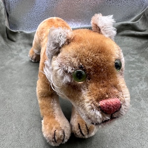 Steiff Young Lion Cub 1950s Running Mohair Plush 14cm 5.5in no ID Vintage