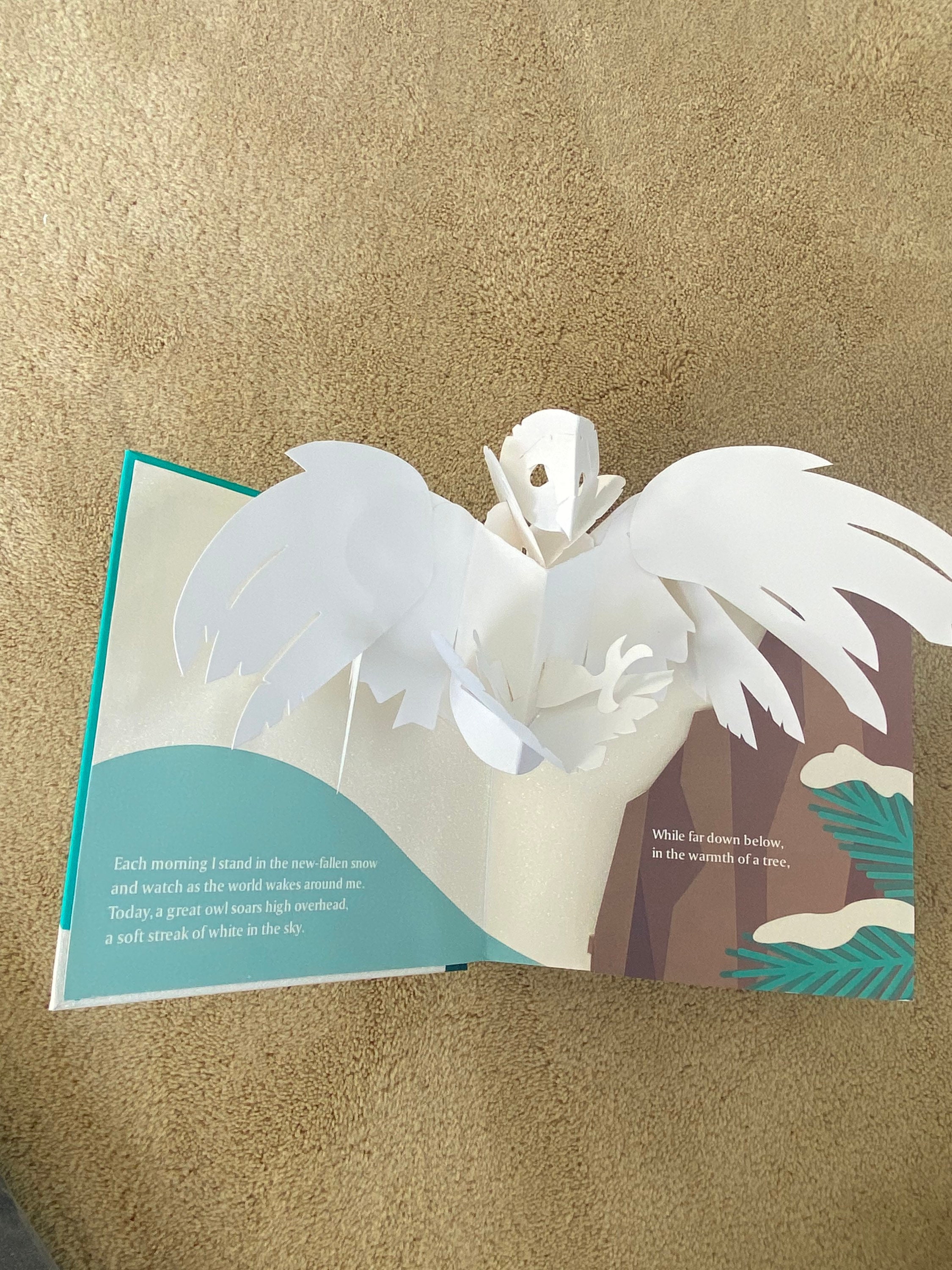 Winter's Tale Pop up Book by Robert Sabuda - Etsy