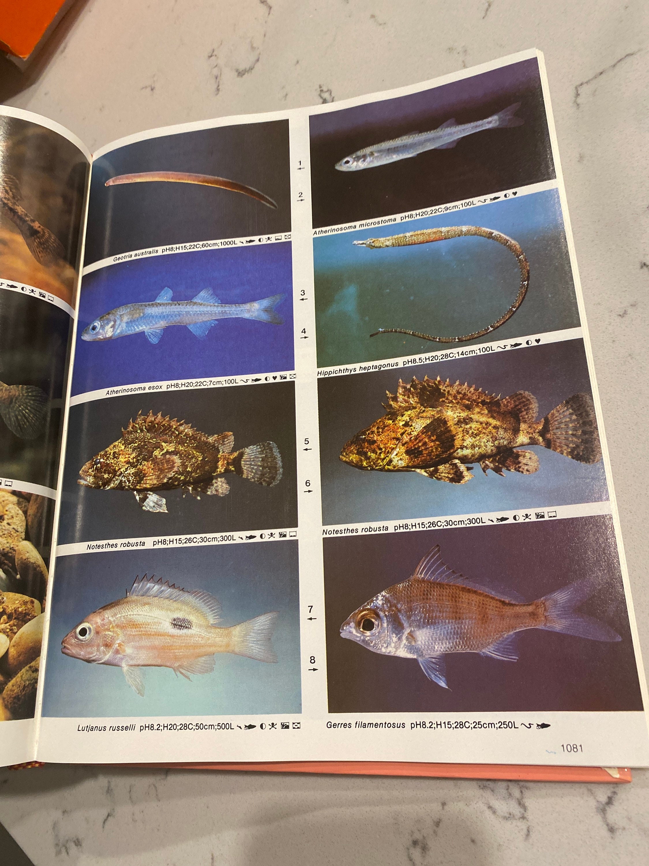 洋書　Dr. Axelrod's Atlas of 淡水観賞魚　大型本 Dr. Axelrod's Atlas of Freshwater Aquarium Fishes - Herbert