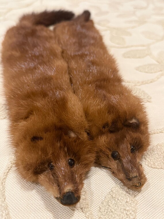 Vintage Mink Fur Pelts, 20in Hooked Furs