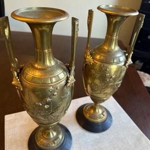 Pair of 19 th Century Gilt Pair of French Bronze with Ebony Base Art Nouveau Style with Beautiful  Botanical Pictures and Insects
