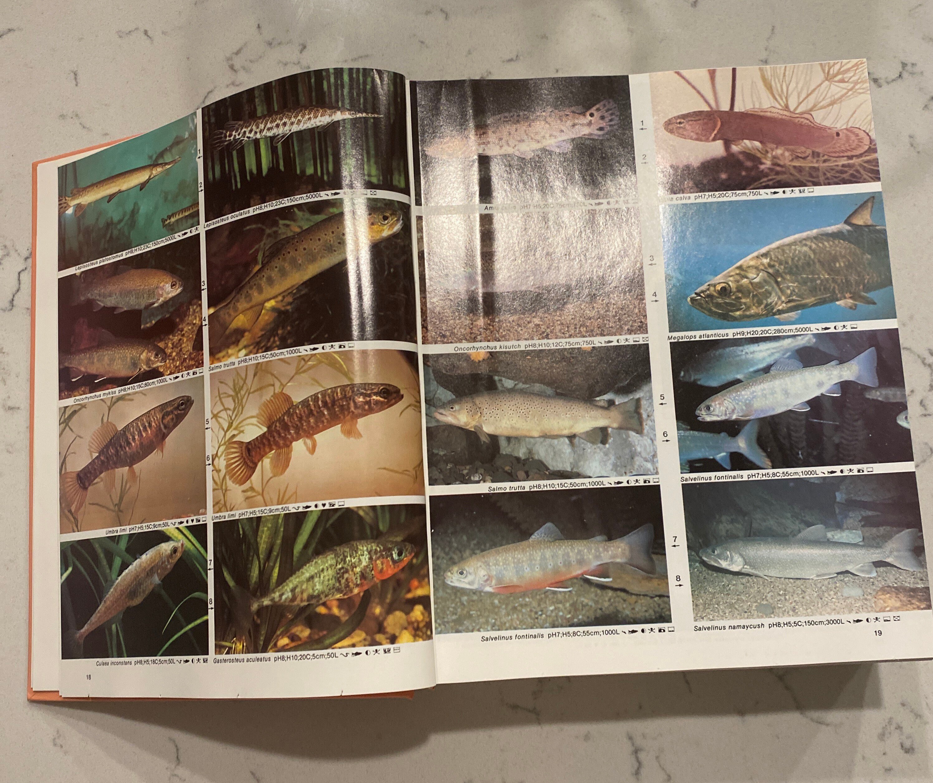 洋書　Dr. Axelrod's Atlas of 淡水観賞魚　大型本 洋書 Dr. Axelrod´s Atlas of 淡水観賞魚 大型本
