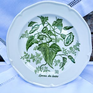 Antique Vintage French Gien Liseron des Haies Dessert Plates Set of 4 Botanical Charm