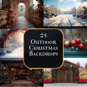 Outdoor Christmas Photography Backdrops, Holiday Portrait Backgrounds, Winter Scene Digital Backdrop, Festive Photo Overlays