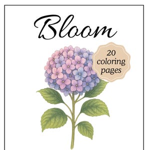 Bloom – A Floral Adult Coloring Book | Printable Botanical Pages for Mindful Relaxation