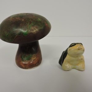 Mushroom and Frog Salt and Pepper Shaker Set