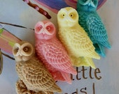 80 Eulen Seifenbegünstigungen - Herbst Hochzeitsbegünstigungen - Eule Baby shower Favors - Eule Braut shower Favors - Dschungel Geburtstagsbegünstigungen - Tier shower favors