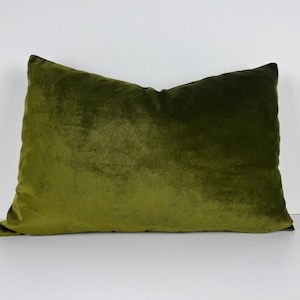 Könnte beinhalten: Rechteckiges Kissen aus olivgrünem Samt. Das Kissen hat eine weiche, plüschige Textur und eine satte, tiefe Farbe. Das Kissen ist ein dekorativer Artikel für ein Bett oder Sofa.