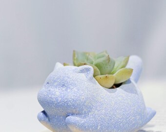 May include: A light blue ceramic cat-shaped planter with a succulent plant. The planter has a textured surface and is resting on a book. The succulent has green and yellow leaves.