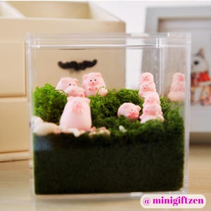 ピンクの子豚の苔庭、デスクトップテラリウム装飾、かわいい豚の仲間、オフィスのストレス解消ギフト、ミニチュア農場シーンかわいいデスクアクセサリー