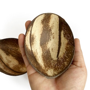 May include: A set of three ceramic mugs with a speckled, matte finish. The mugs are in shades of cream, light gray, and dark gray. Each mug has a simple, minimalist design, perfect for coffee or tea.