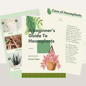 Beginner’s Guide to Houseplants | Printable Indoor Plant Care Guide | Houseplant Tips PDF | Digital Download | Easy Plant Care for Beginners