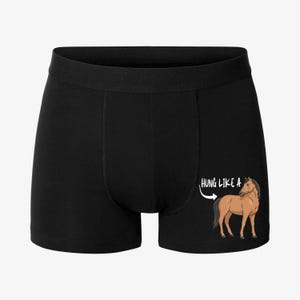 May include: Black boxer shorts featuring a brown horse graphic and the text "HUNG LIKE A". The shorts have a black elasticated waistband. The horse graphic is on the right side of the shorts.