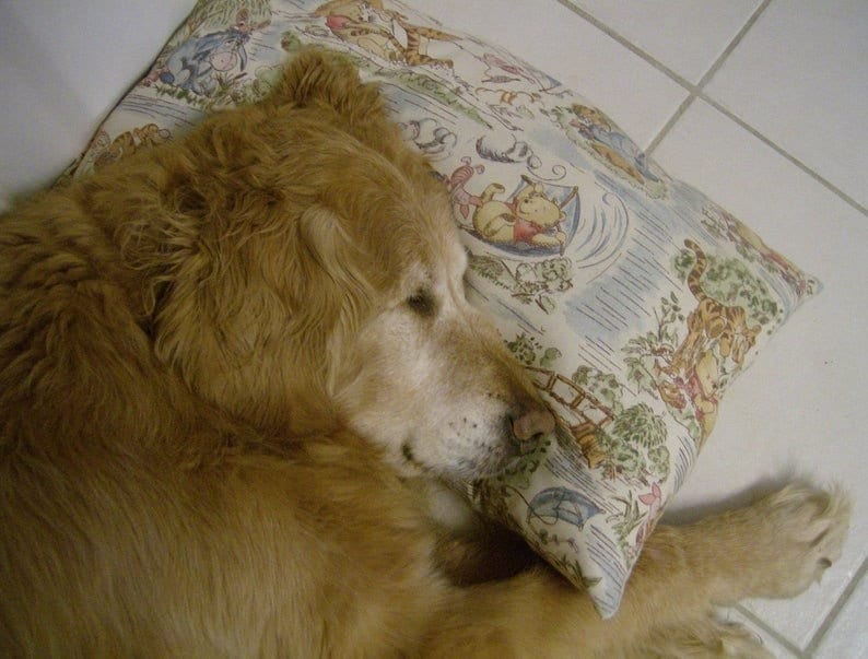 ANTIANXIETY Dog Pillow Toy Spray and Treats Etsy Canada