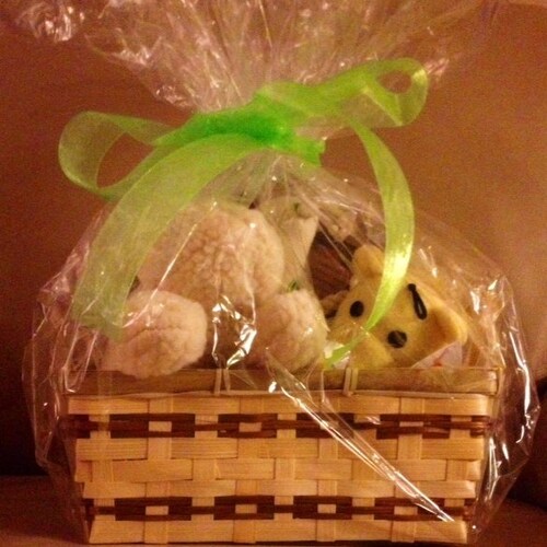 Get Well Dog Gift Basket Deluxe Etsy