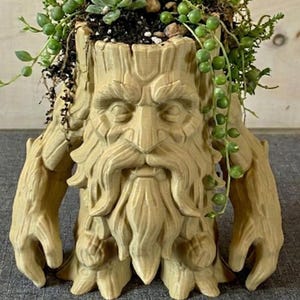 May include: A beige, tree-like planter with a detailed face, beard, and arms. The planter is filled with soil and various green plants, including trailing succulents. The design resembles a mythical forest guardian, perfect for adding a unique touch to any space.