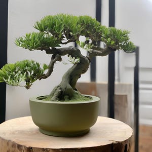 May include: A small bonsai tree with bright green leaves and a gnarled, dark brown trunk. The tree is potted in a sage green ceramic pot, placed on a natural wooden surface. The bonsai has a distinctive, artistic form.