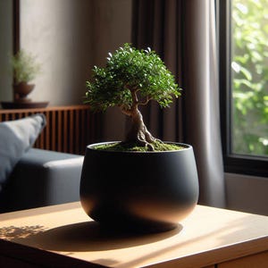 May include: A miniature bonsai tree with bright green foliage and a brown trunk is potted in a black container. The pot rests on a light-coloured wooden table. The background shows a room and a window.