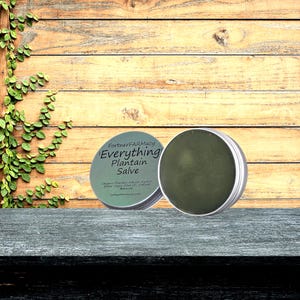 Plantain Everything Salve 1 oz Tin – All Purpose Herbal Balm for Skin Support & Natural Healing by Fortner Farm